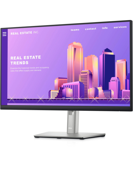 Dell 24 Monitor - P2422H - 60.5cm (23.8")
