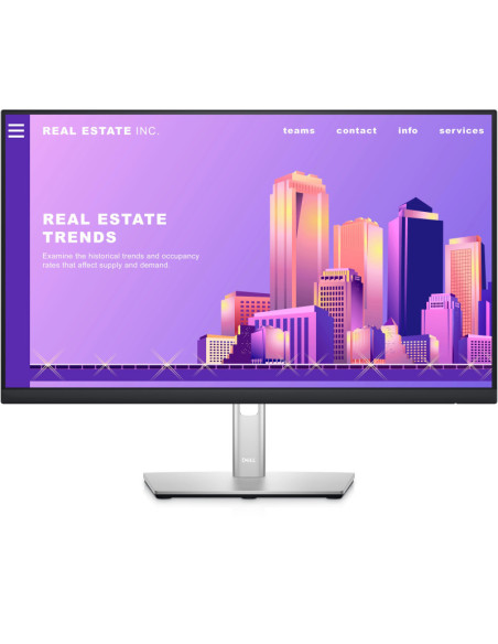 Dell 24 Monitor - P2422H - 60.5cm (23.8")