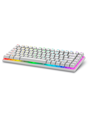 Dell 545-BBFR Alienware Pro | Gaming Keyboard |...