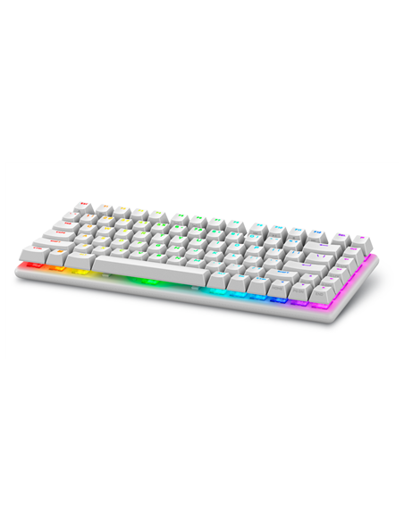 Dell 545-BBFR Alienware Pro | Gaming Keyboard | Wireless | US | Bluetooth | Lunar Light | Alienware Linear Mechanical