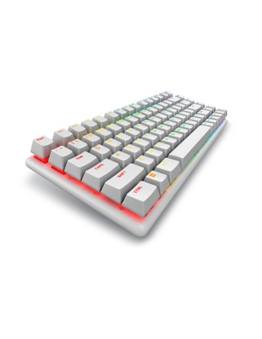 Dell 545-BBFR Alienware Pro | Gaming Keyboard |...