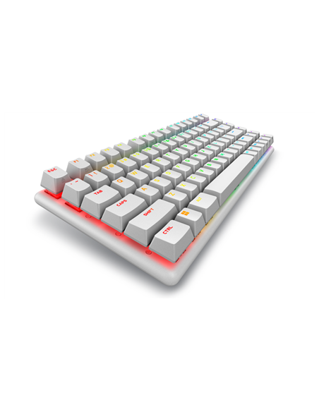 Dell 545-BBFR Alienware Pro | Gaming Keyboard | Wireless | US | Bluetooth | Lunar Light | Alienware Linear Mechanical