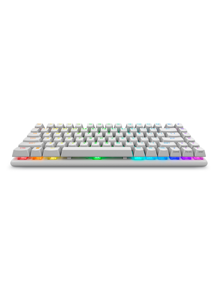 Dell 545-BBFR Alienware Pro | Gaming Keyboard | Wireless | US | Bluetooth | Lunar Light | Alienware Linear Mechanical