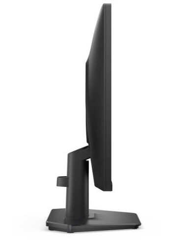 LCD Monitor, DELL, 24 ", 1920 x 1080 pixels,...