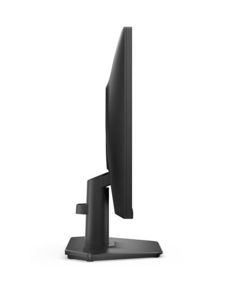 LCD Monitor, DELL, 24 ", 1920 x 1080 pixels, Full HD, Native aspect ratio 16:9, LCD, Flat, 210-BSNR