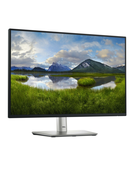 Dell 24 Monitor - P2425, 61cm (24.0")