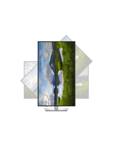 Dell | P3225DE | 32 " | IPS | 100 Hz | 5 ms | 2560 x 1440 pixels | 350 cd/m | HDMI ports quantity 1