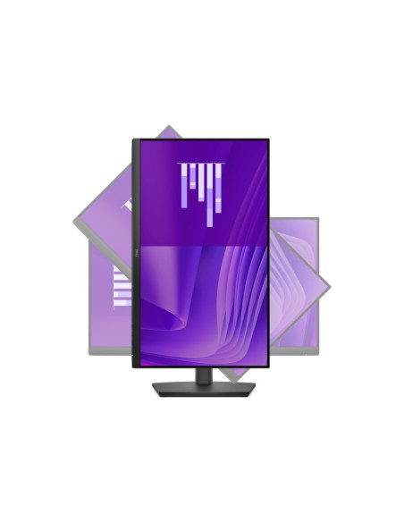 Dell | E2425HSM | 24 " | IPS | FHD | 16:9 | 100 Hz | 5 ms | 1920 x 1080 pixels | 250 cd/m | HDMI ports quantity 1 | Black