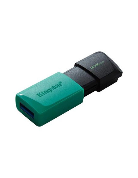 Kingston | USB Flash Drive | DataTraveler Exodia | 256 GB | USB 3.2 Gen 1 | Black/Teal