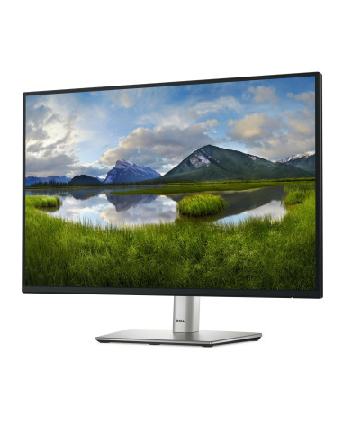 LCD Monitor, DELL, P2425E, 24", Business, Panel IPS, 1920x1200, 16:10, 100Hz, Matte, 8 ms, Swivel, Pivot, Height adjustable, Ti