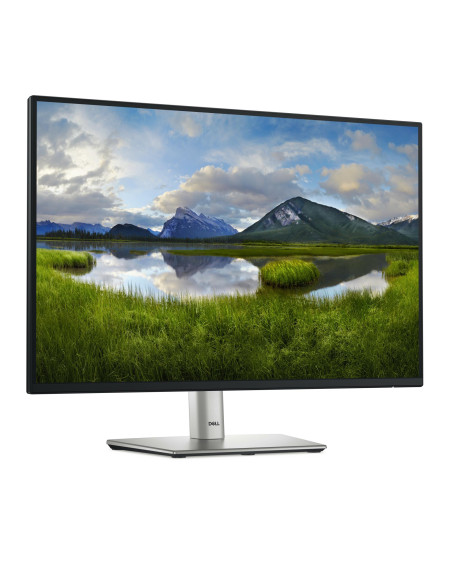 LCD Monitor, DELL, P2425E, 24", Business, Panel IPS, 1920x1200, 16:10, 100Hz, Matte, 8 ms, Swivel, Pivot, Height adjustable, Ti