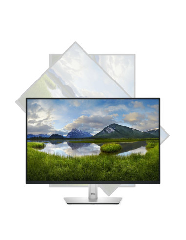 LCD Monitor, DELL, P2425E, 24", Business, Panel IPS, 1920x1200, 16:10, 100Hz, Matte, 8 ms, Swivel, Pivot, Height adjustable, Ti