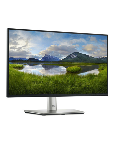 Dell 22 Monitor - P2225H, 54.6cm (21.5")