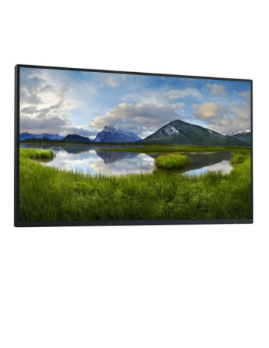 Dell Pro 24 Plus USB-C Hub Monitor - P2425HE without stand, 60.5cm (23.8")
