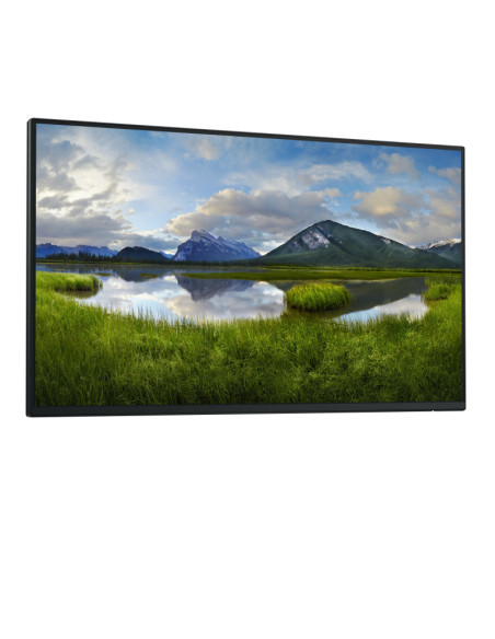 Dell Pro 24 Plus USB-C Hub Monitor - P2425HE without stand, 60.5cm (23.8")