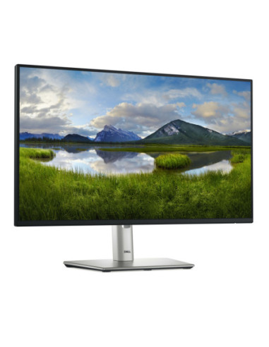 Dell 24 Monitor - P2425H, 60.5cm (23.8")