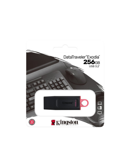 Kingston | USB Flash Drive | DataTraveler Exodia | 256 GB | USB 3.2 Gen 1 | Black