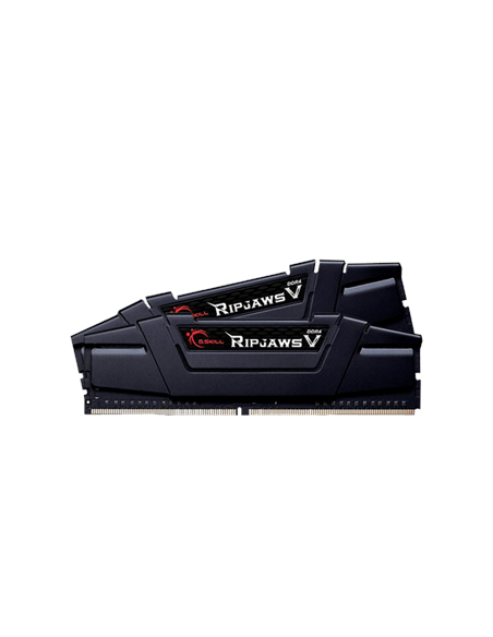 G.Skill | Ripjaws V | 16 Kit (8GBx2) GB | DDR4 | 3200 MHz | PC/server | Registered No | ECC No