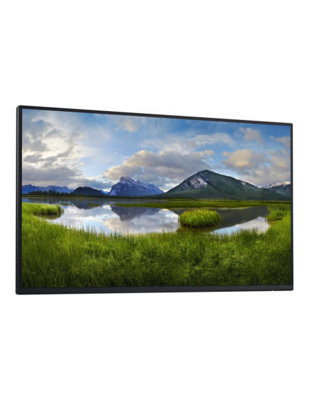 Dell | Monitor Without Stand | P2425H | 24 " | IPS | 16:9 | 100 Hz | 8 ms | 1920 x 1080 pixels | 250 cd/m | HDMI ports quantity