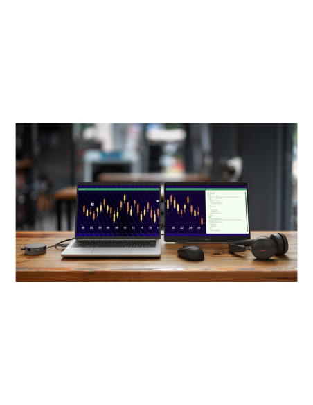Dell P1425 14" WUXGA USB-C nešiojamas monitorius