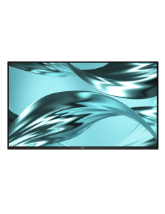 Dell Pro P2426H 24 colių Full HD 120 Hz IPS monitorius be stovo 210-BVTG