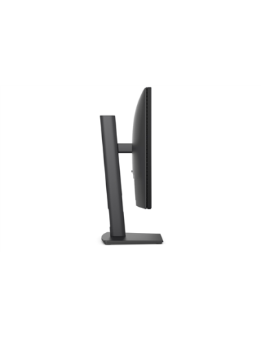 Dell Pro P2426H 24 colių Full HD 120 Hz IPS verslo monitorius 210-BVKM