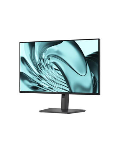 Dell Pro P2426H 24 colių Full HD 120 Hz IPS verslo monitorius 210-BVKM