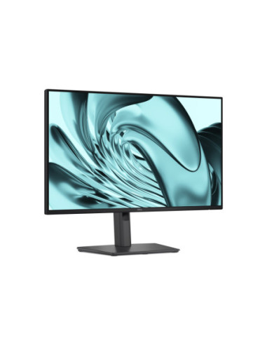 Dell Pro P2426H 24 colių Full HD 120 Hz IPS verslo monitorius 210-BVKM