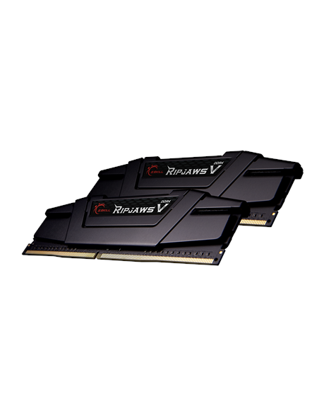 G.Skill | Ripjaws V | 32 GB | DDR4 | 3600 MHz | PC/server | Registered No | ECC No