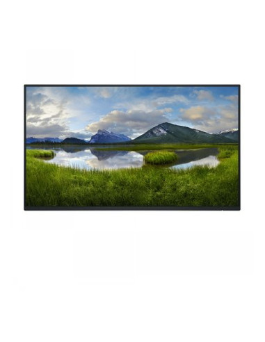 DELL PRO 24 PLUS P2425HE FHD IPS 169 PIVOT 100HZ USBC-90W RJ45 (NO STAND)