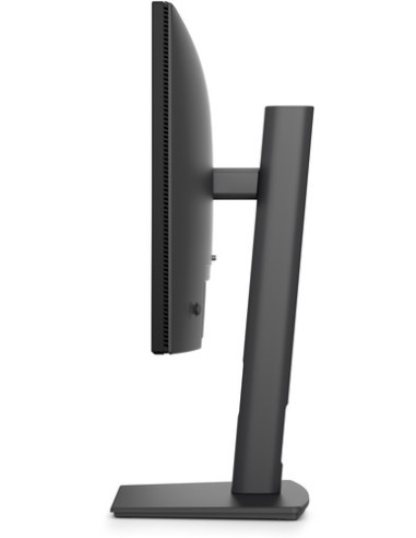 DELL PRO PLUS 22 P2226H FHD IPS 169 100HZ 5MS USBC-15W
