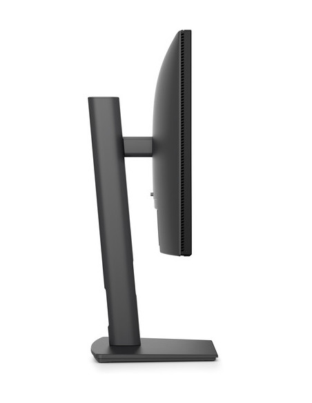 DELL PRO PLUS 22 P2226H FHD IPS 169 100HZ 5MS USBC-15W