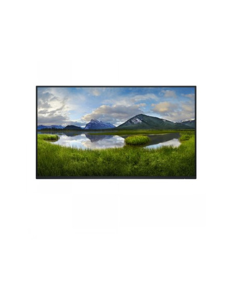 DELL PRO 27 PLUS P2725H FHD IPS 169 PIVOT 100HZ USBC-15W (NO STAND)